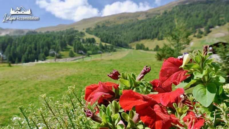 Baita Epi Cusini By Livigno Accomodation Exterior foto